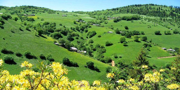 yayla tatili