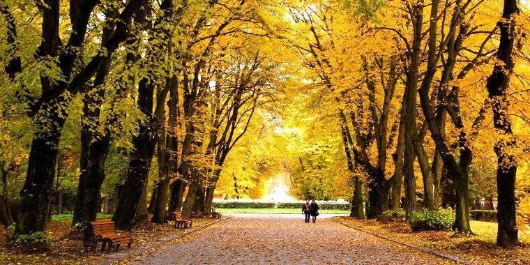 stryisky park lviv sonbahar