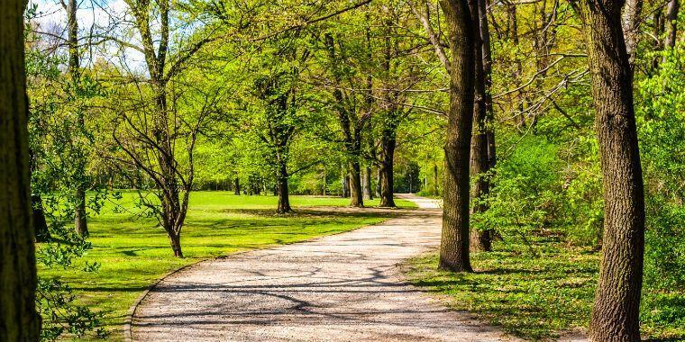 tiergarten