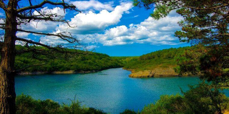 yenice ormanları