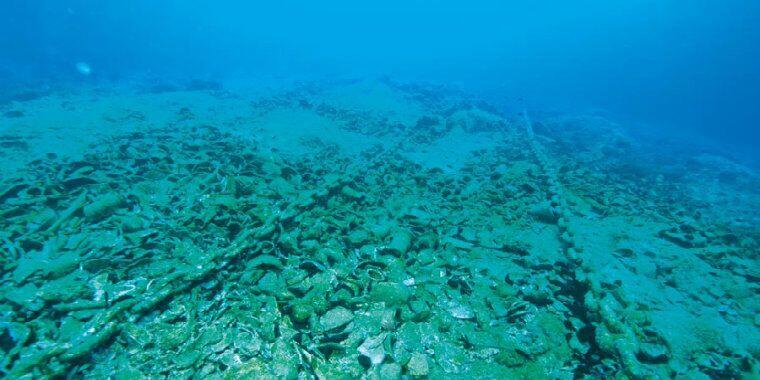 Bodrum küçük reef