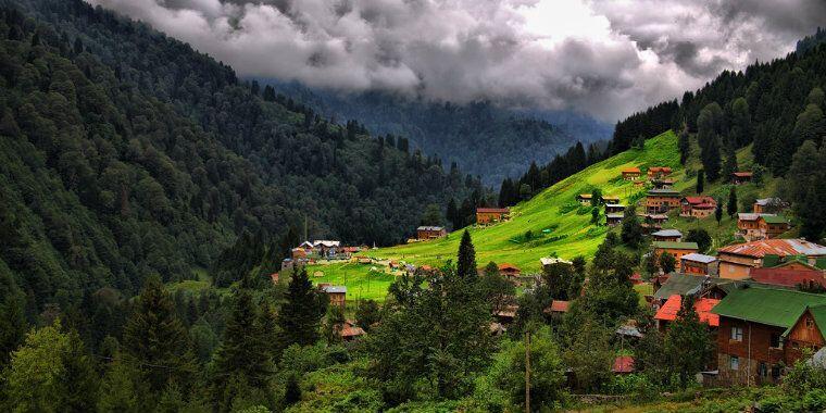 Rize