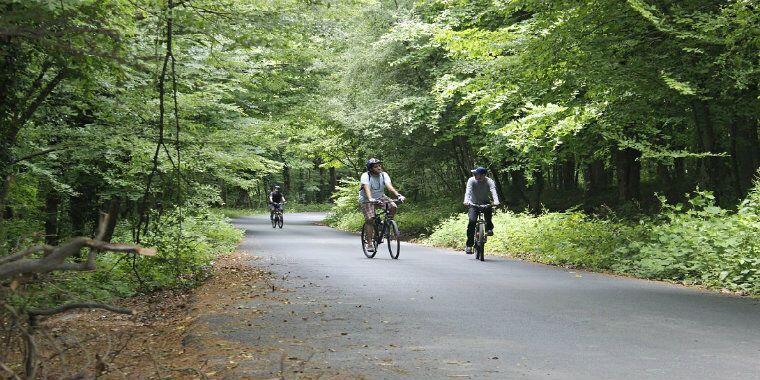 belgrad ormanı bisiklet parkuru