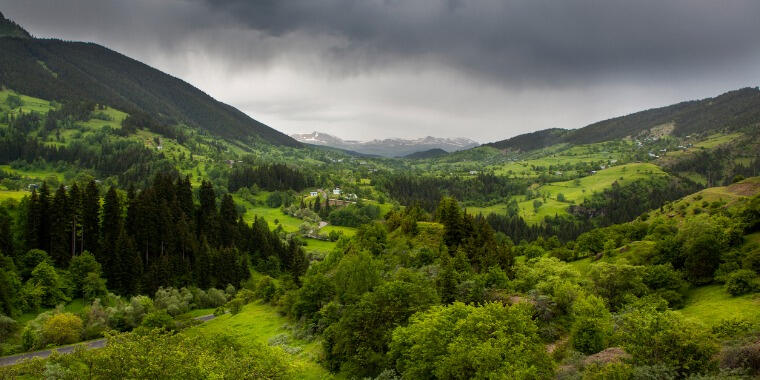 borçka artvin