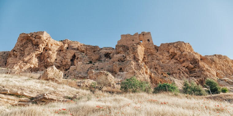 uzaktan görünüm mardin kalesi