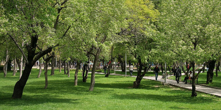 kurtuluş park