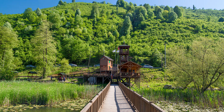 düzce yayla