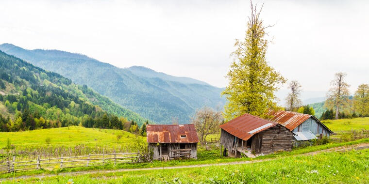 düzce yayla