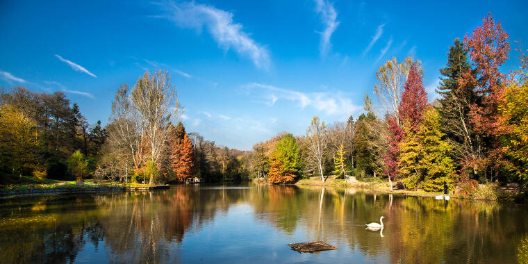 atatürk arboretum