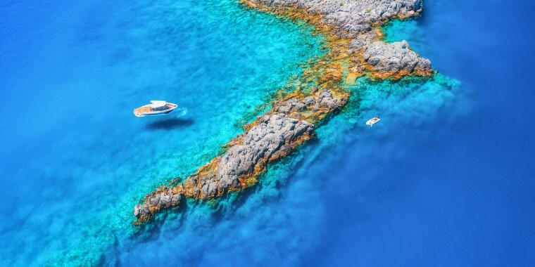 Cam Berraklığında Bir Deniz: Akvaryum Koyu Cam Berraklığında Bir Deniz: Akvaryum Koyu