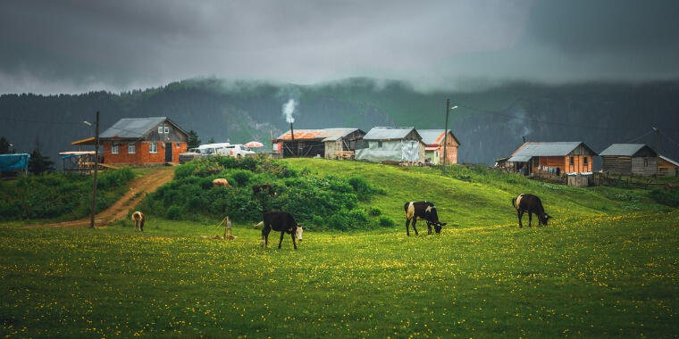 Trabzon’u Bir Kitap ve Bir Film Eşliğinde Keşfedin