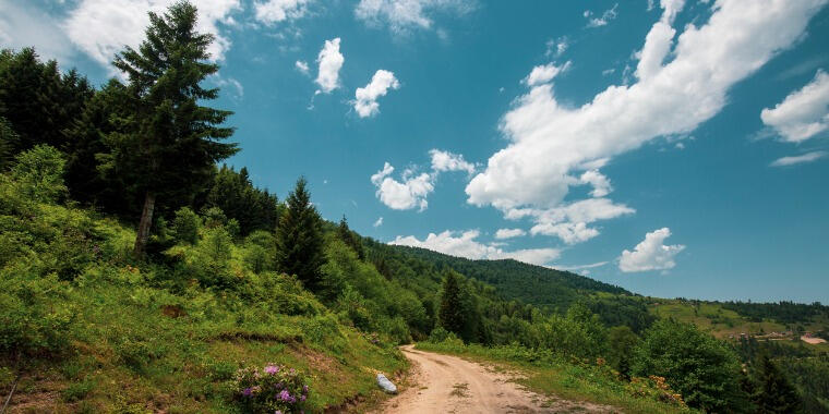 Doğa Tutkunlarına Özel Bir Rota: Uzungöl