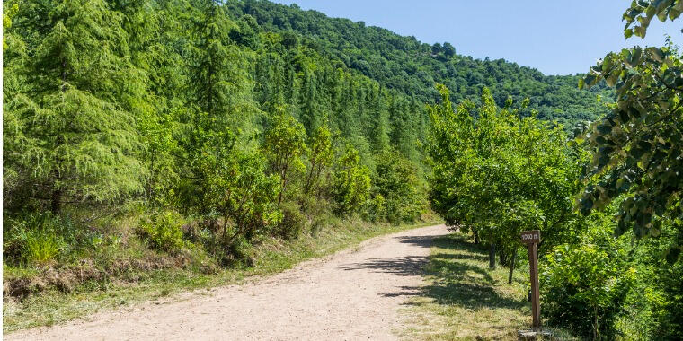 İzmit Yuvacık Barajı Manzarasında Kahvaltı