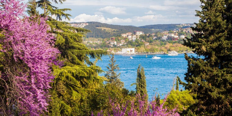 Eski İstanbul Semtleri: Arnavutköy