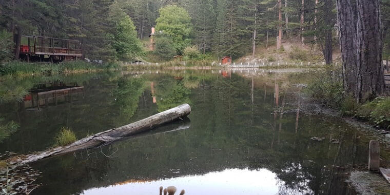 Kastamonu’da  Bunları Yapmadan Dönme