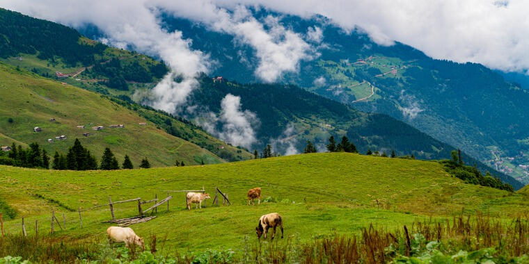 Trabzon Gezi Rehberi