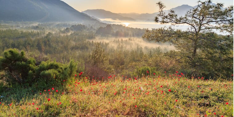 En Güzel İlkbahar Rotaları: Muğla