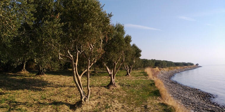 Tekirdağ Gezi Rehberi