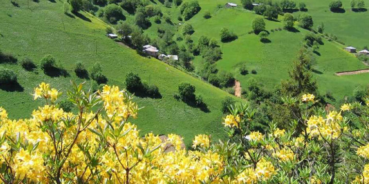 Bahar Aylarında Gidebileceğiniz Bol Oksijenli Giresun Yaylaları