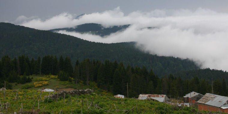 Bahar Aylarında Gidebileceğiniz Bol Oksijenli Giresun Yaylaları