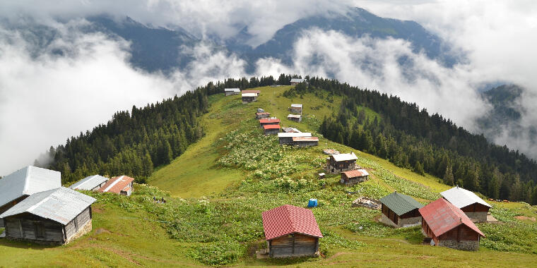 Rize'nin Bol Oksijenli Atmosferi: Pokut Yaylası Hakkında Her Şey