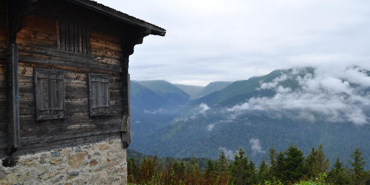 Rize'nin Bol Oksijenli Atmosferi: Pokut Yaylası Hakkında Her Şey