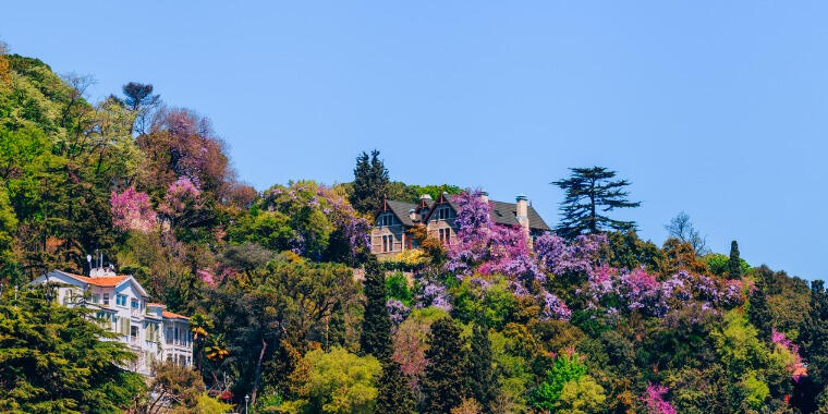 İstanbul’da Erguvan Zamanı