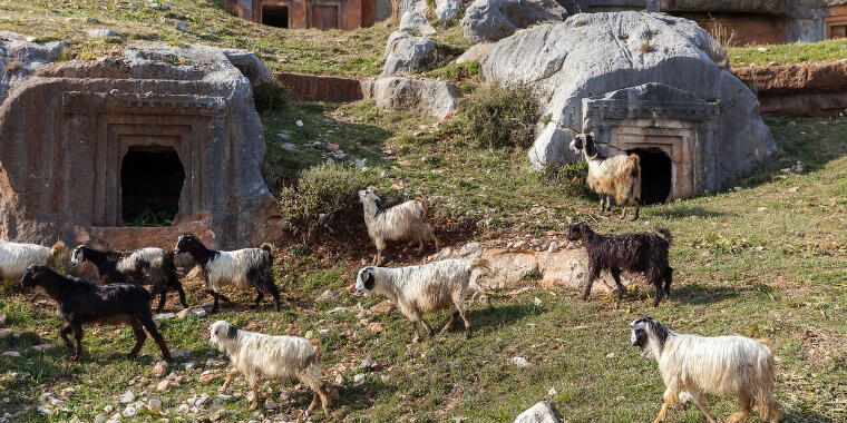 Limyra Antik Kenti Hakkında Her Şey