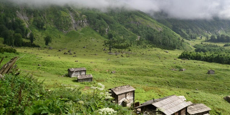 Yayla Turizmi Nedir? Yaylada Konaklamak için Başlangıç Rehberi