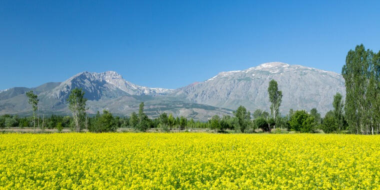 Erzincan Gezi Rehberi