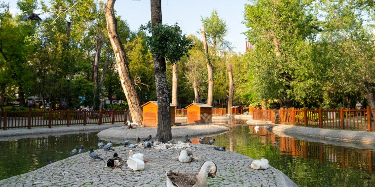 Ankara’nın Birbirinden Güzel Parkları