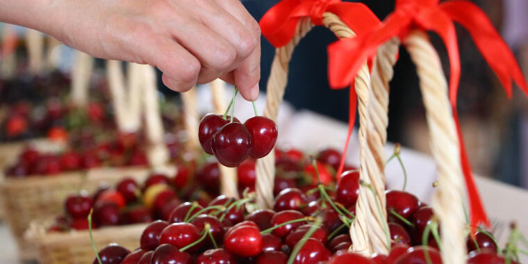 Trakya Gastronomi Rehberi