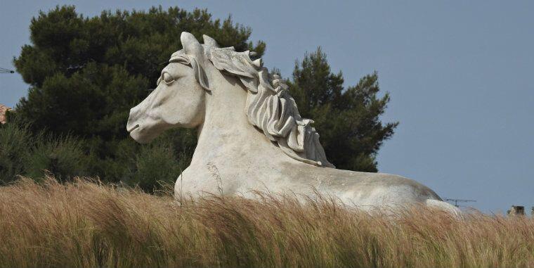 camarguais atları