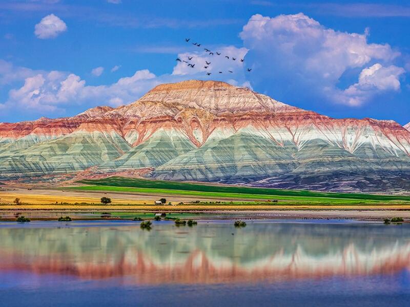 Nallıhan Kuş Cenneti - Ankara Nallıhan