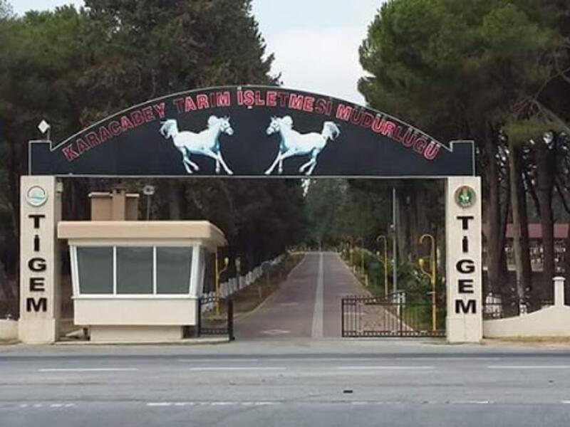 607598fd5740b782af7db53f Çiftçilere Faizsiz Kredi ve 100 Küçükbaş Desteği 🐑 Aylık 15.000 TL Ödeme Başlıyor!