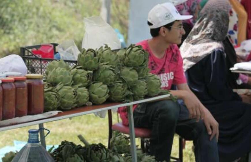 Hasanağa Enginar Festivali