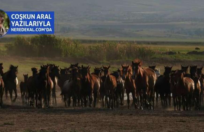 Kendi Objektifimden Kapadokya ve Aklımda Kalan İzler