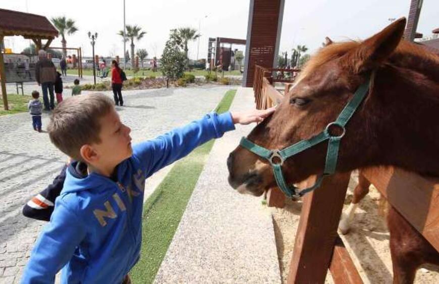 Cordelion Taypark