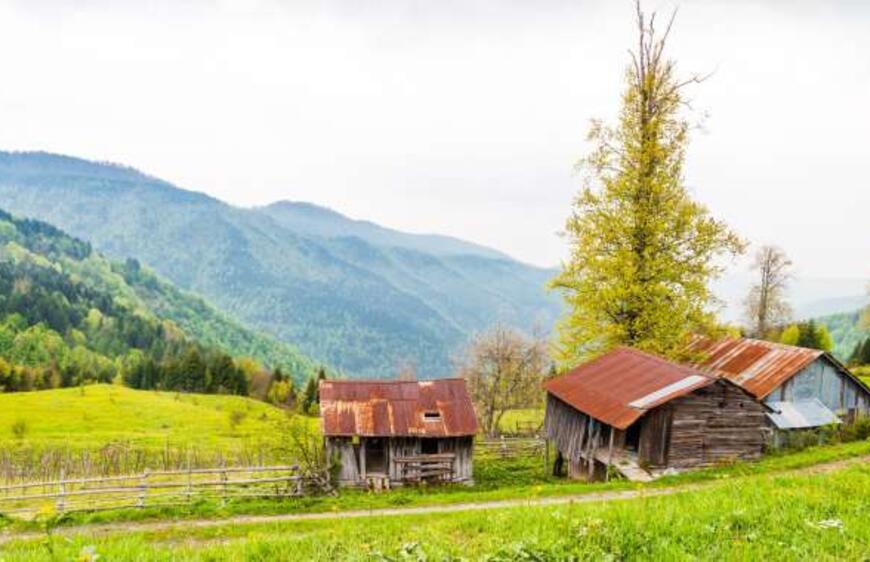 Bir An Önce Keşfetmeniz Gereken Düzce Yaylaları