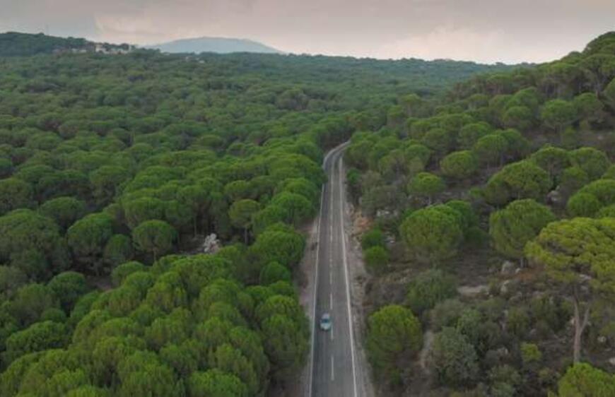 Yok Olma Tehlikesi Altında Bir Cennet: Kozak Yaylası