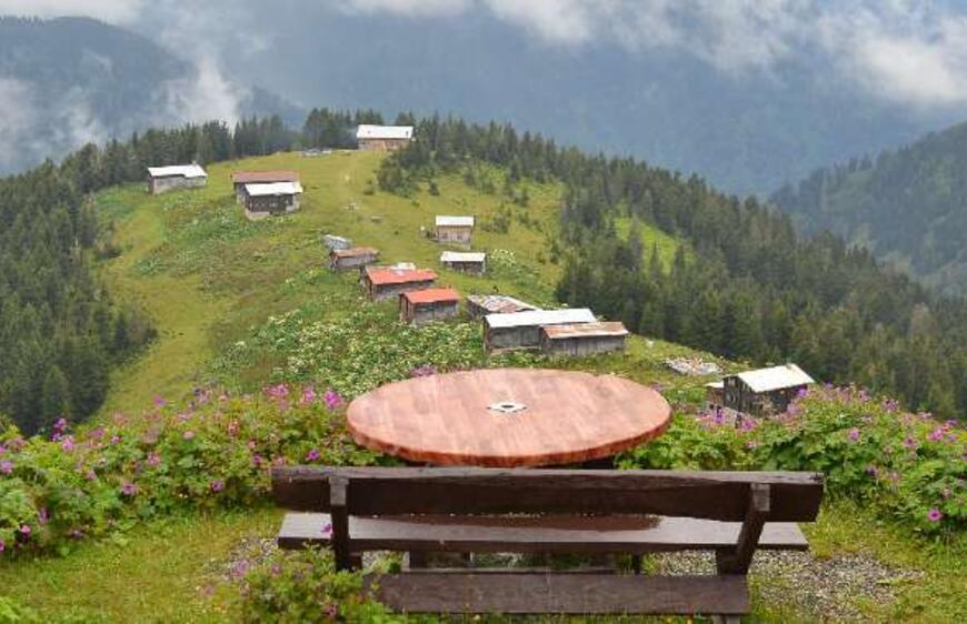 Rize'nin Bol Oksijenli Atmosferi: Pokut Yaylası Hakkında Her Şey