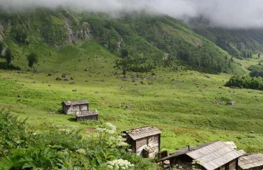 Dünya’dan Bir Süreliğine Kopabileceğiniz Bir Cennet: Gorgit Yaylası