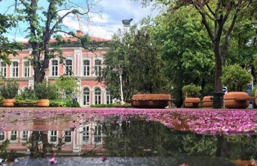 Yıldız Teknik Üniversitesi'ni Tanıma Rehberi