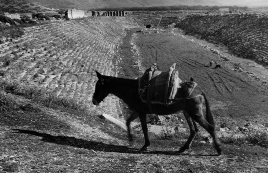 Ara Güler'in Gözünden: Aphrodisias Çığlığı