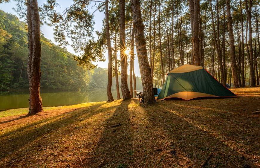 Sapanca Kamp Alanları