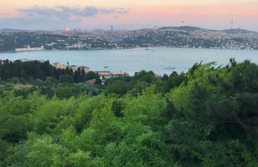İstanbul’da Ormanlara Giriş Yasağı Başladı mı? Nereler Yasak?