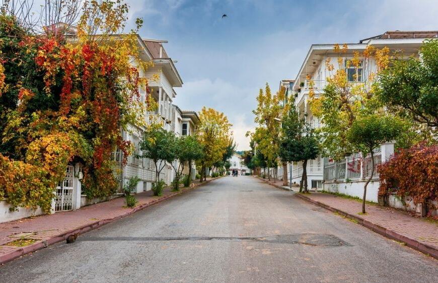 İstanbul'un Gözde Rotası: Büyükada Gezi Rehberi