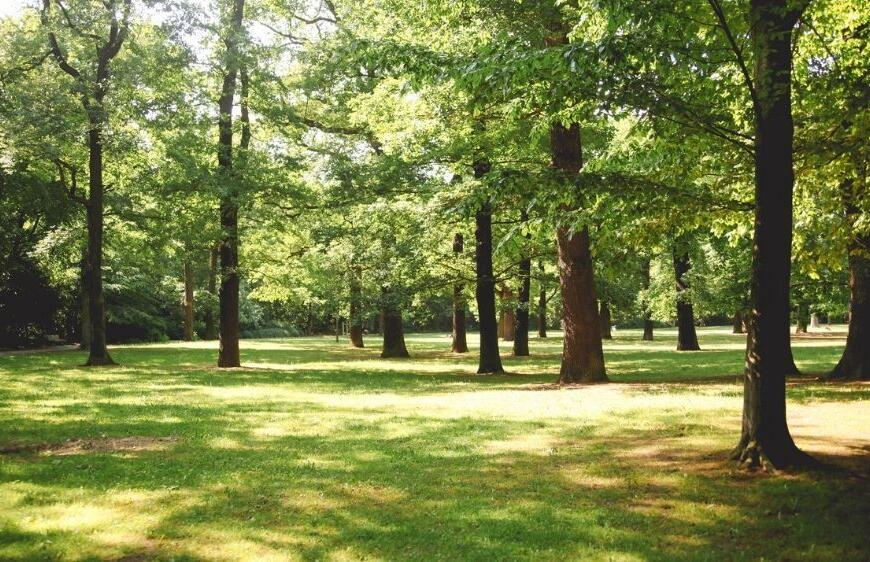 Çilingoz Tabiat Parkı'nda Denize Girilir mi, Nasıl Gidilir?