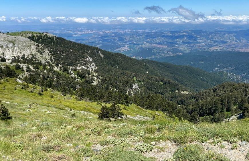 Kaz Dağları’nın Kalbinde Edremit'in En Güzel Köyü: Beyoba