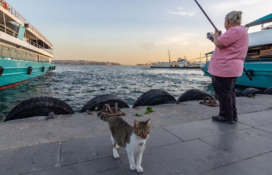 İstanbul'da Balık Tutmak İçin En Keyifli Noktalar